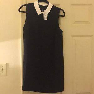 Forever 21 black shift dress with white collar